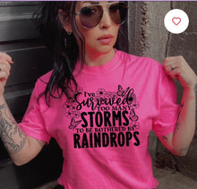 Load image into Gallery viewer, Too Many Storms Tshirt
